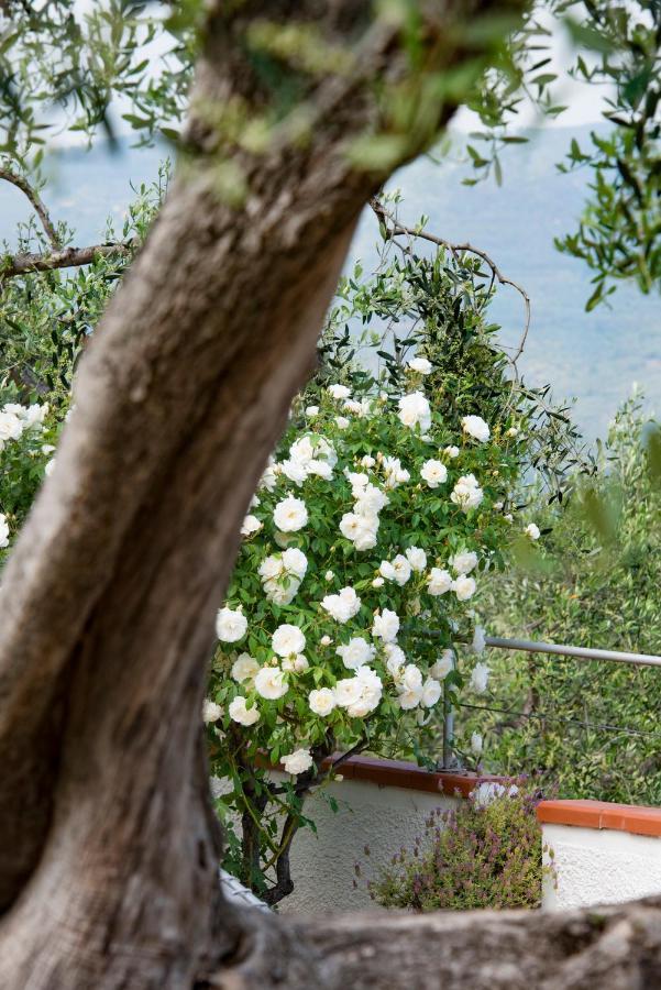 Villa Annetta Poggi 외부 사진